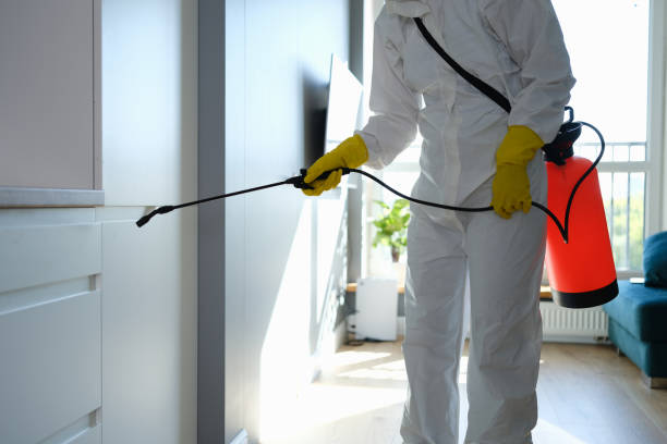 Best Mold Testing and Inspection Services in Harrisville, UT